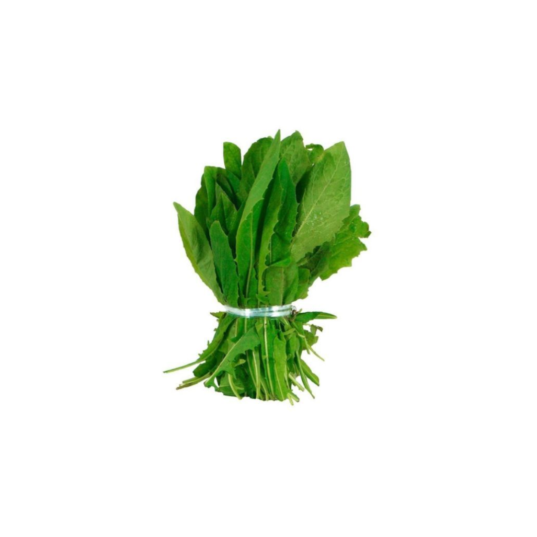 Achicoria
