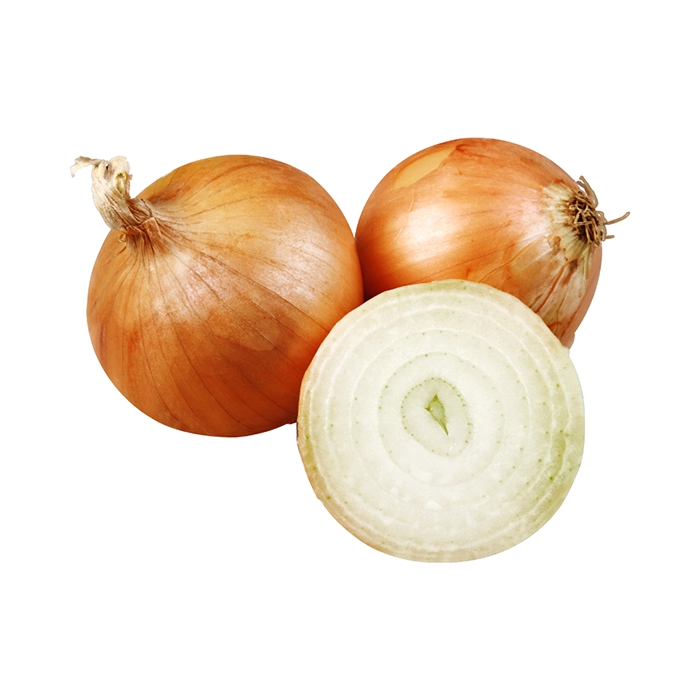 Cebolla