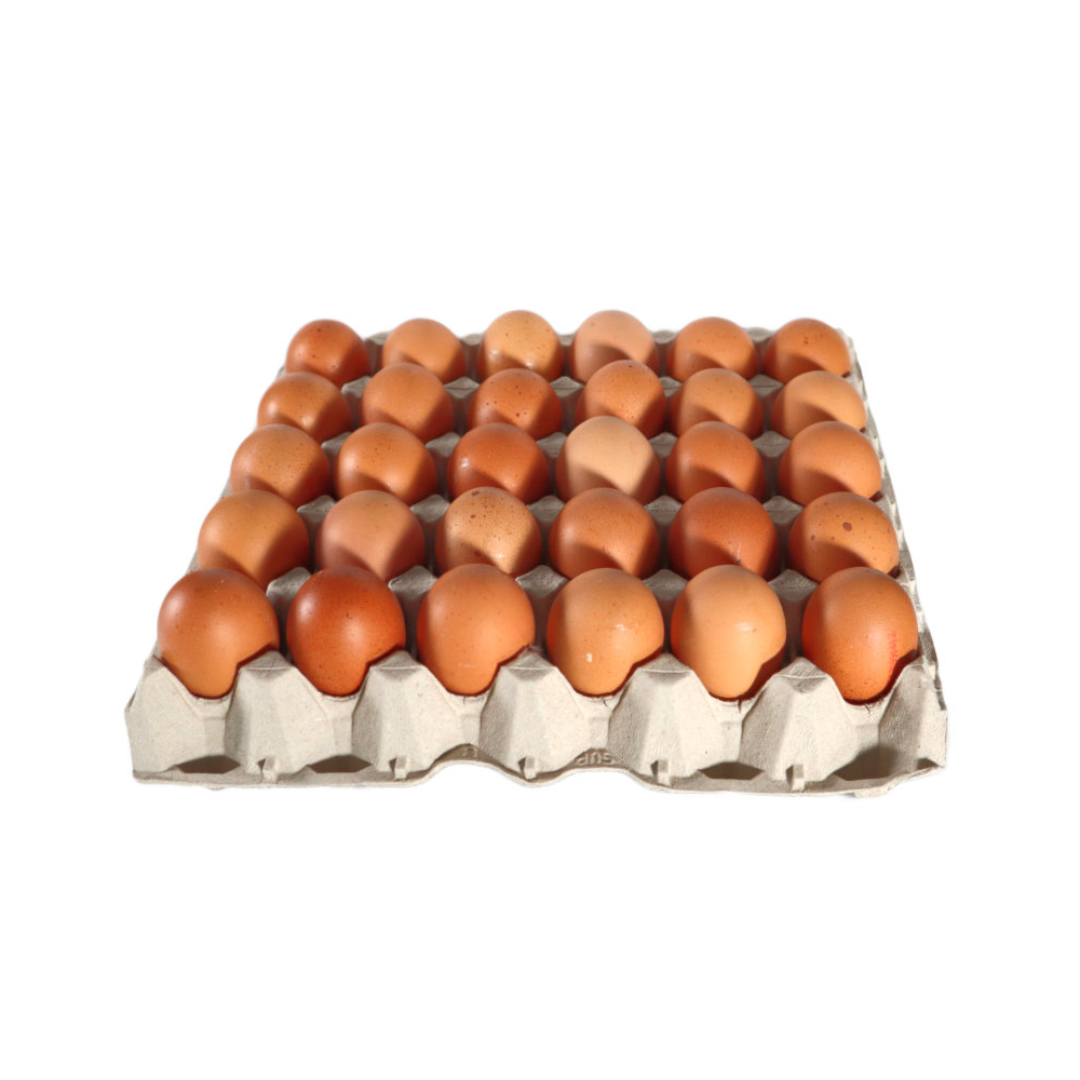 Bandeja de Huevos Grandes